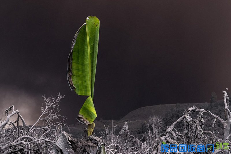 地球异域之美！火山惊艳美景摄影欣赏