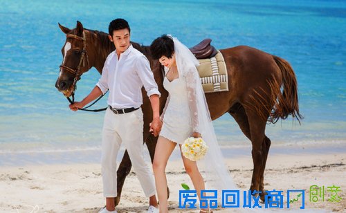 陆毅鲍蕾结婚纪念日晒唯美婚纱照 贝儿出镜