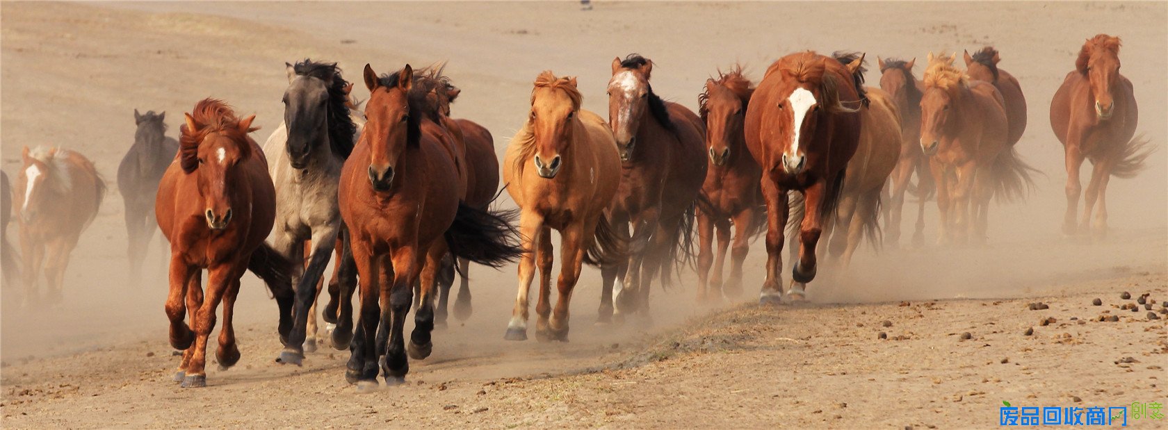 [12P]景明摄影论坛/景明摄影论坛素材/景明美女-活动花絮发布区-景明摄影器材论坛