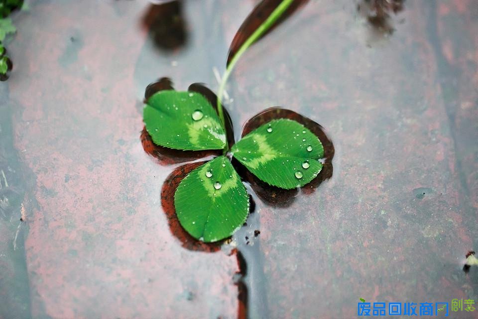 唯美意境伤感雨中美景意境图片
