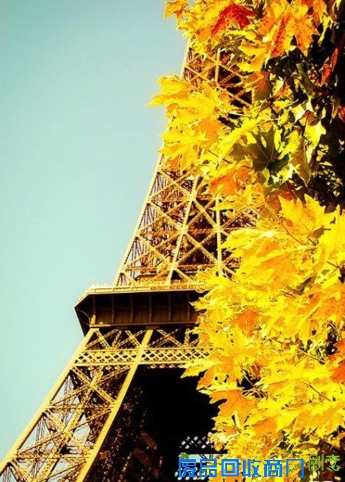 浪漫的季节 巴黎的秋天唯美摄影图赏 