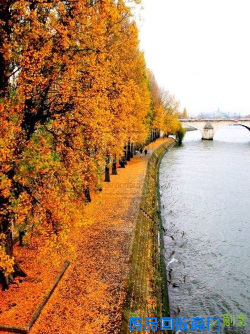 浪漫的季节 巴黎的秋天唯美摄影图赏 
