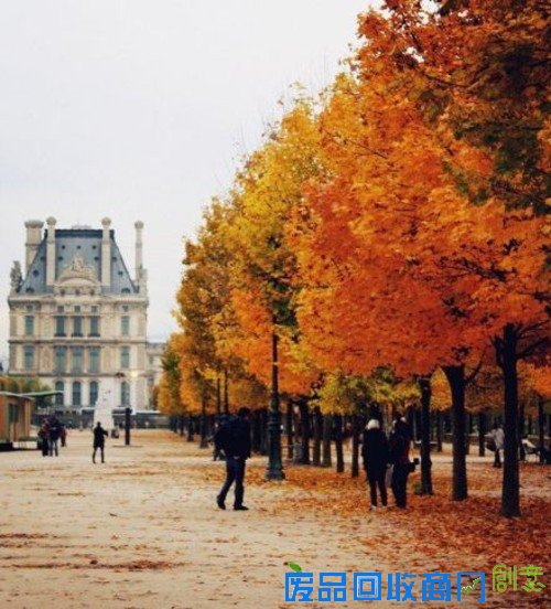 浪漫的季节 巴黎的秋天唯美摄影图赏 