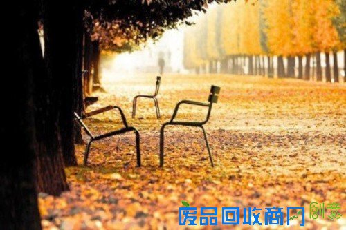 浪漫的季节 巴黎的秋天唯美摄影图赏 