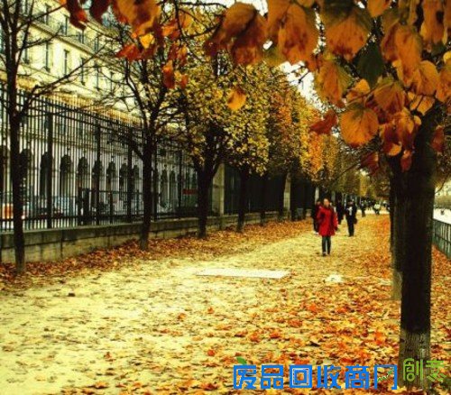 浪漫的季节 巴黎的秋天唯美摄影图赏 