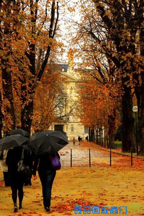 浪漫的季节 巴黎的秋天唯美摄影图赏 