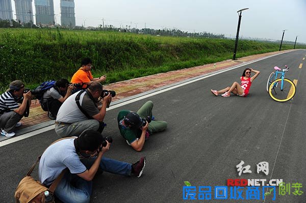 各有各的美姿。