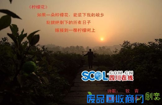 七月美图之约最终结果揭晓 资阳原来这么美！