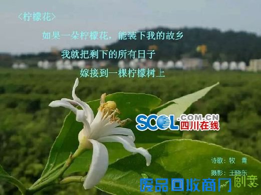 七月美图之约最终结果揭晓 资阳原来这么美！