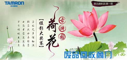 易迅电商媒体化转型，摄友团活动第五期美女抢镜