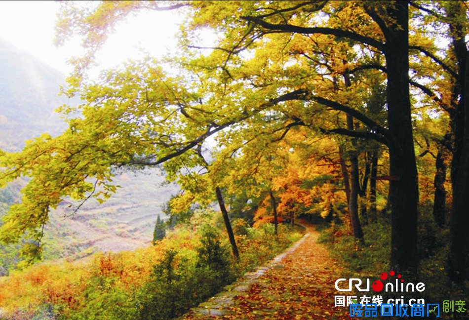 “中国最具文化创意旅游乡村”全国记者采风行暨天台山第五届红枫节开幕