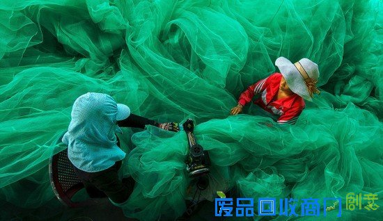 (组图)视觉震撼！《国家地理》摄影赛惊艳佳作