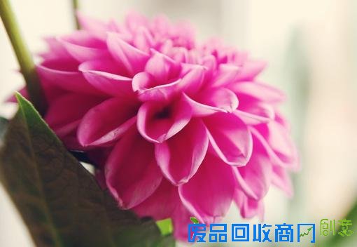 小清新意境伤感风景个性清新唯美图片