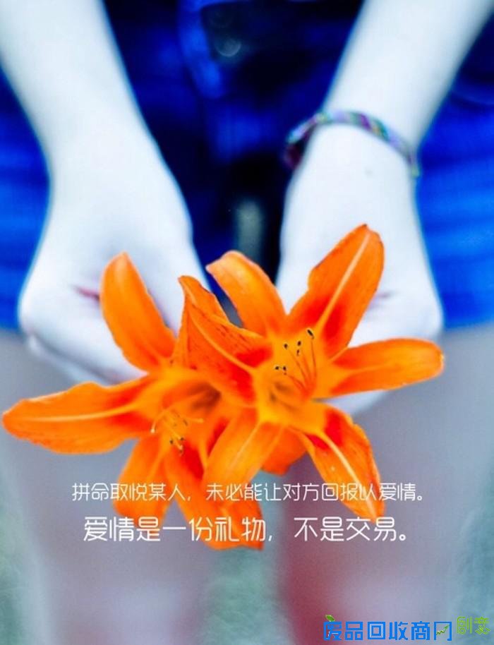 小清新图片唯美带字伤感lomo美图美文