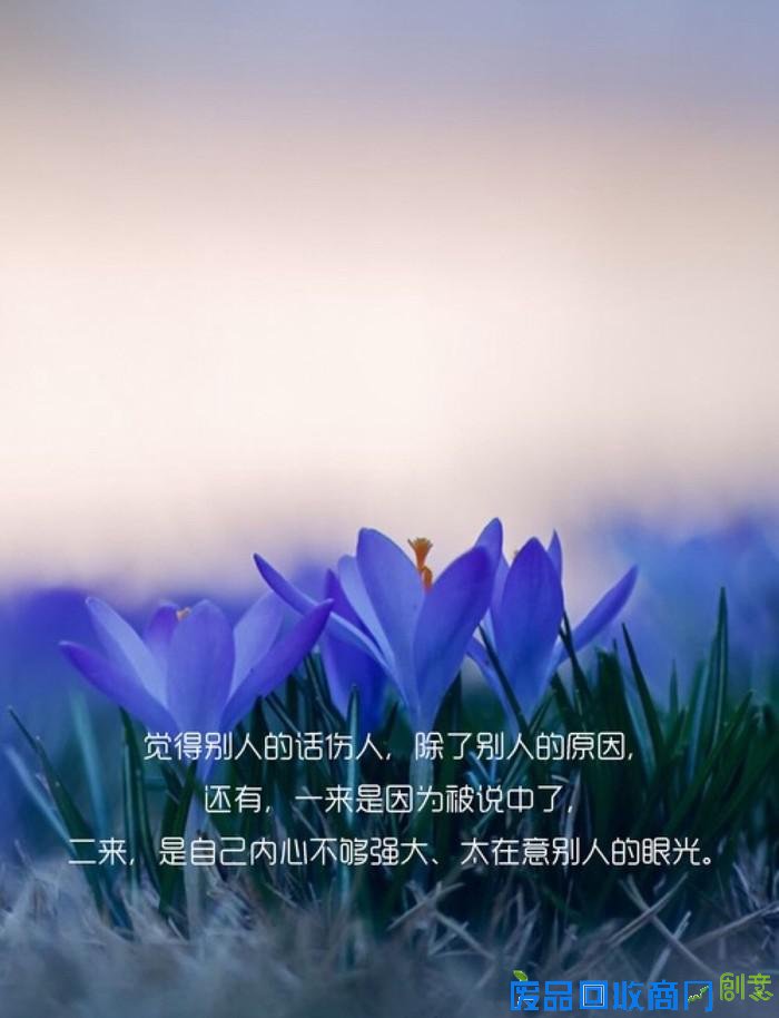 小清新图片唯美带字伤感lomo美图美文