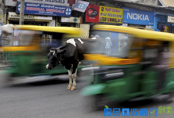 是悲伤还是欢乐，路透社上半年被点赞最多的照片有哪些？