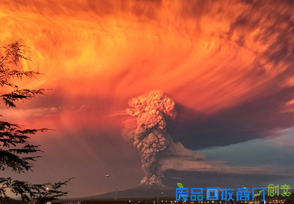 是悲伤还是欢乐，路透社上半年被点赞最多的照片有哪些？