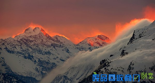 是悲伤还是欢乐，路透社上半年被点赞最多的照片有哪些？