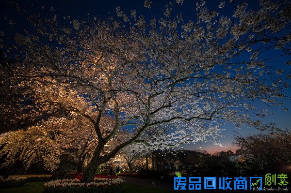 用镜头表达情感！日本摄影师唯美风景照片欣赏