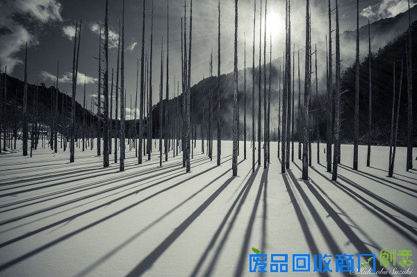 用镜头表达情感！日本摄影师唯美风景照片欣赏