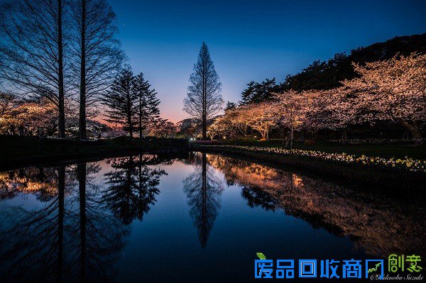 用镜头表达情感！日本摄影师唯美风景照片欣赏