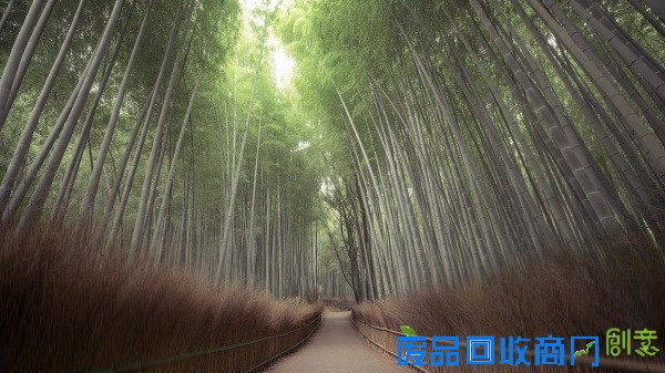 用镜头表达情感！日本摄影师唯美风景照片欣赏