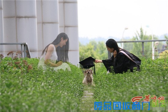 西外毕业生缑潇楠创意伤感毕业照：串连记忆中的那时那刻 看完会有想哭的冲动【组图】