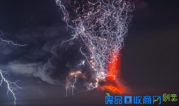 绝对的视觉震撼 《国家地理》摄影大赛优秀作品盘点