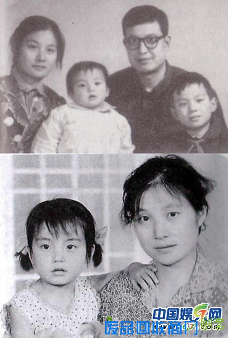 图说赵薇那些儿事