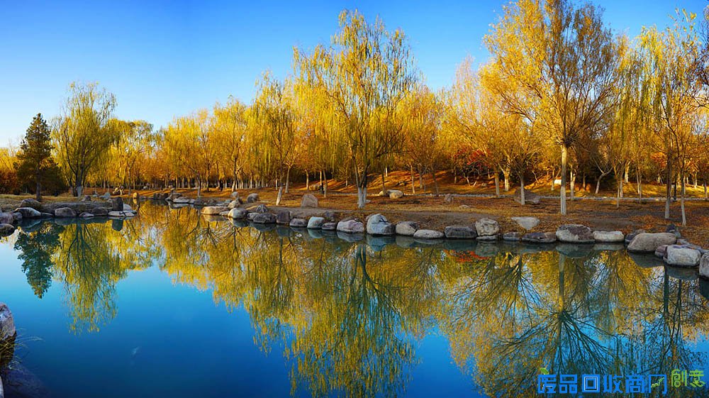 新疆哈密石油基地晚秋景色动人