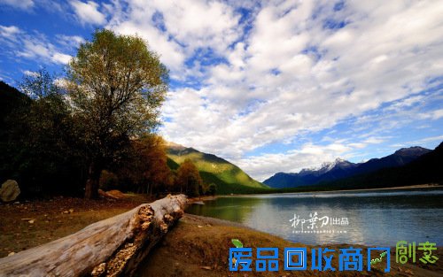 林芝摄影无水印,林芝地区,西藏林芝摄影创作团好不好!