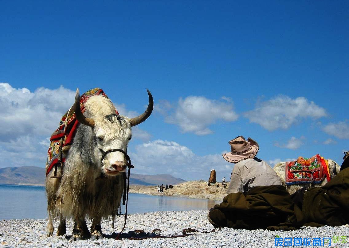 林芝摄影无水印,林芝地区,西藏林芝摄影创作团好不好!