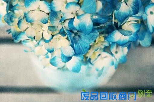 小清新森系伤感意境清新淡雅美图