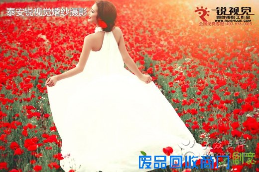 泰安锐视觉婚纱摄影工作室