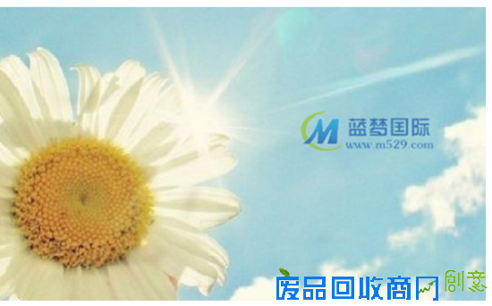 蓝梦国际小本创业轻松致富