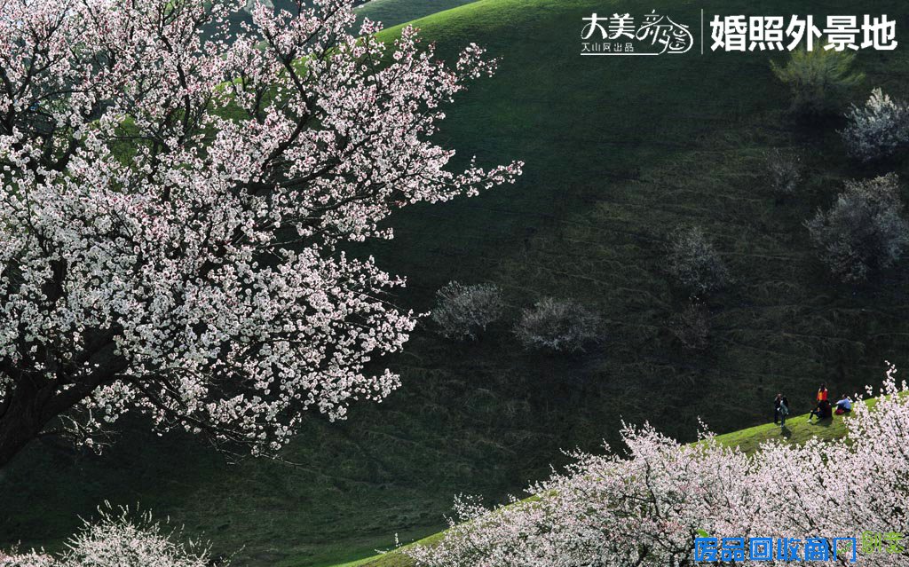 大美新疆:盘点新疆最美婚纱照拍摄外景点