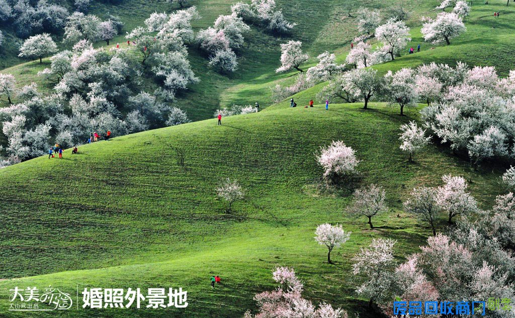 大美新疆:盘点新疆最美婚纱照拍摄外景点