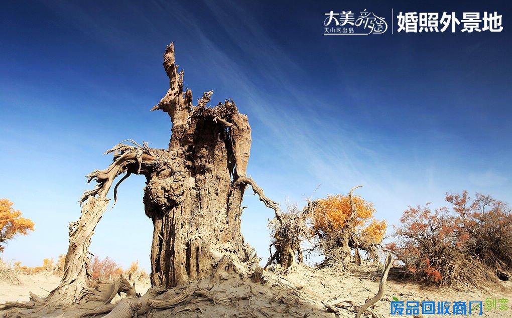 大美新疆:盘点新疆最美婚纱照拍摄外景点