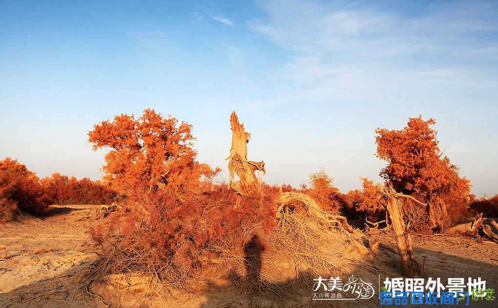 大美新疆:盘点新疆最美婚纱照拍摄外景点