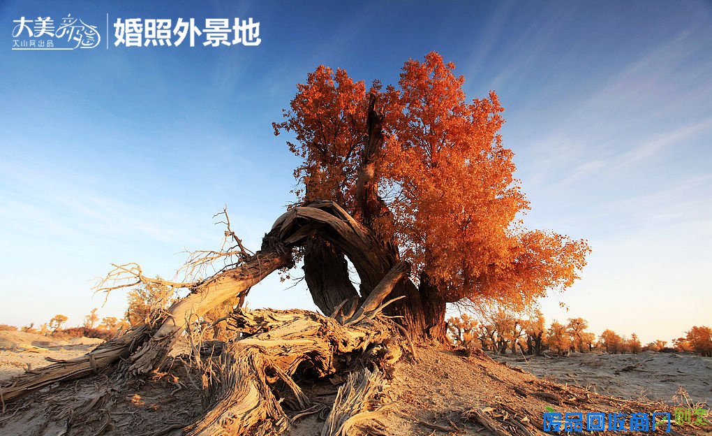 大美新疆:盘点新疆最美婚纱照拍摄外景点