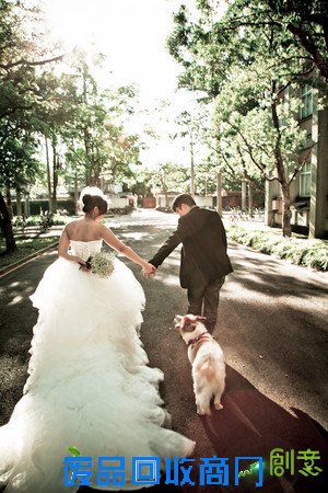 和狗狗一起拍婚纱照?主人:它得了癌症,时日无多