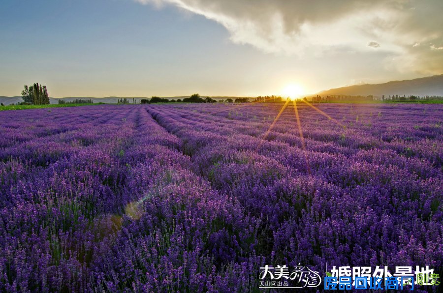 大美新疆:盘点新疆最美婚纱照拍摄外景点