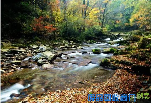 黎坪红叶到底有多美？摄影师都要美哭了!