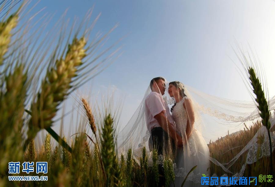 麦田婚纱照 “秀”出“我爱你”（高清图）－精彩副刊－社会频道－中工网