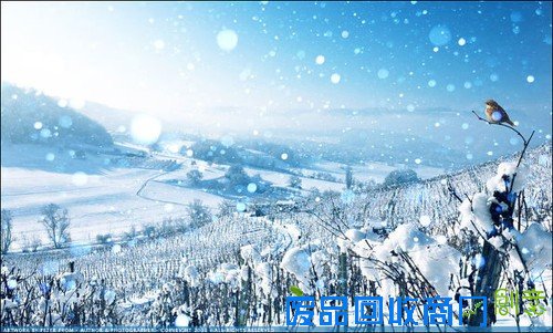 亦真亦幻的唯美风光摄影 高清摄影图赏