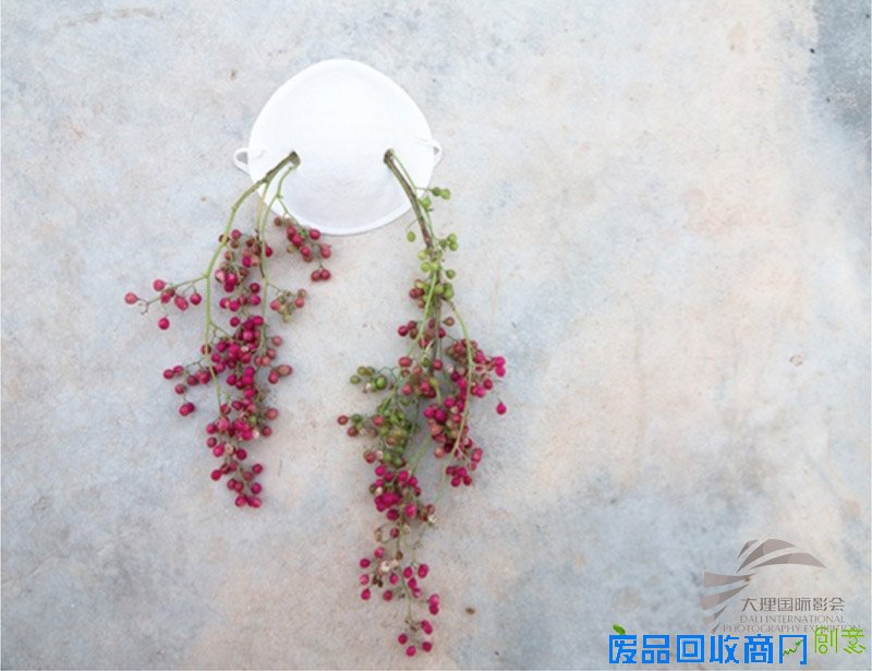 第六届大理国际影会：输入——西班牙摄影在中国的十年