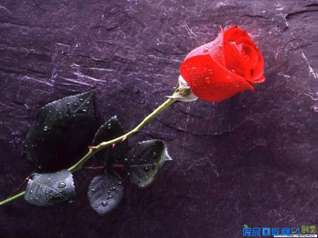 情感   的诗   忧伤   它又变成一首   伤感   蓝天 sky,   