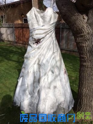 国外玩家制作《上古卷轴5》婚纱照 永不分离