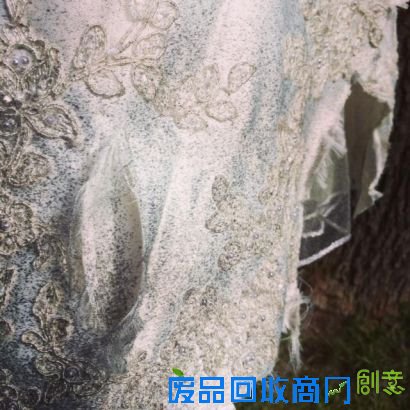 国外玩家制作《上古卷轴5》婚纱照 永不分离