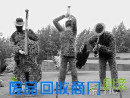 创意农业:闪耀智慧前景广